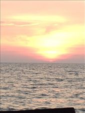 by butterfly-freed, Views[472]