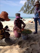 by butterfly-freed, Views[499]