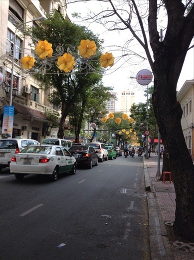 Lights by night, decorative by day too