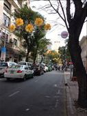 Lights by night, decorative by day too: by butterfly-freed, Views[482]