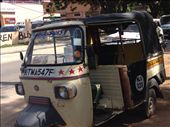 Italian tuk tuks: by butterfly-freed, Views[463]