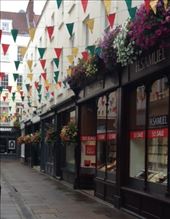 by butterfly-freed, Views[391]