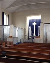 In memorium Mr Boots: by butterfly-freed, Views[356]