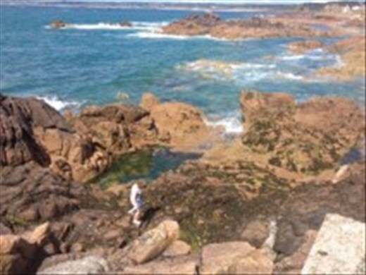 Fi exploring the rock pools