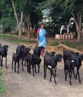 by butterfly-freed, Views[1549]