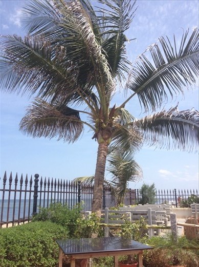 Seafront Pondicherry