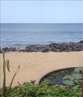 Beach view between the iron bars of Le Cafe: by butterfly-freed, Views[431]