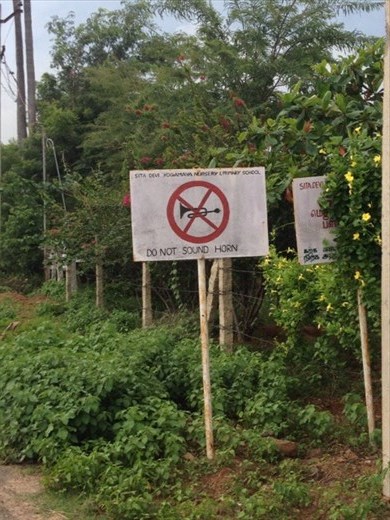 Peace from the noisy horns!