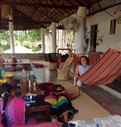 It's tough here...!: by butterfly-freed, Views[401]