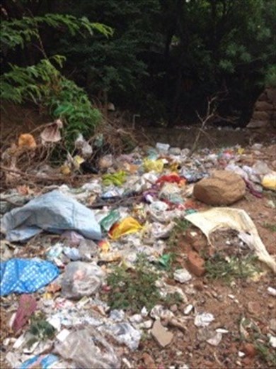 Garbage disposal - a sad sight