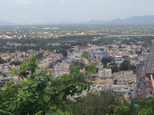 More view of Tiru