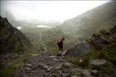 the Descent : by byrdie, Views[380]