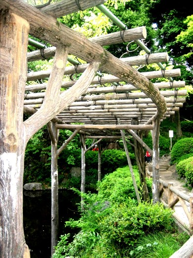 The passage took me towards extreme left and there….