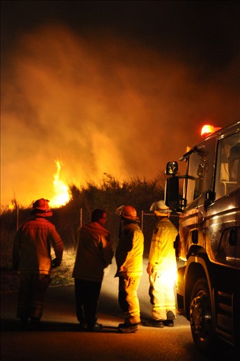 Back-burning is a common forestry practice to prevent larger and more dangerous wildfires. These firefighters have just arrived on scene and are creating a plan of action to keep the blaze under control. 