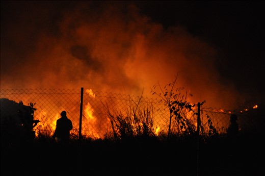 Firefighters tame the blaze near a residential neighborhood in Townsville, Queensland. 