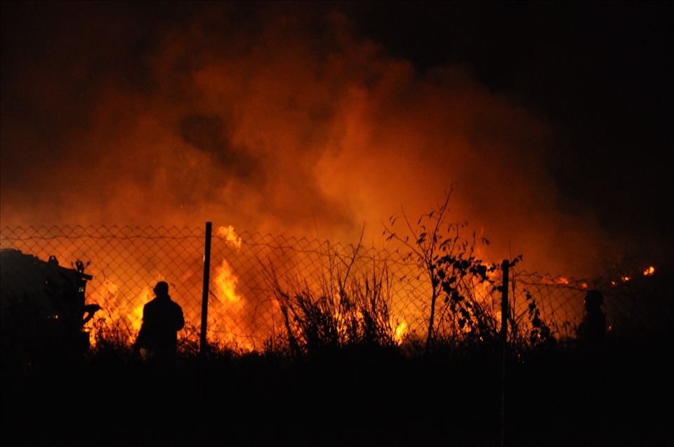 Firefighters tame the blaze near a residential neighborhood in Townsville, Queensland. 