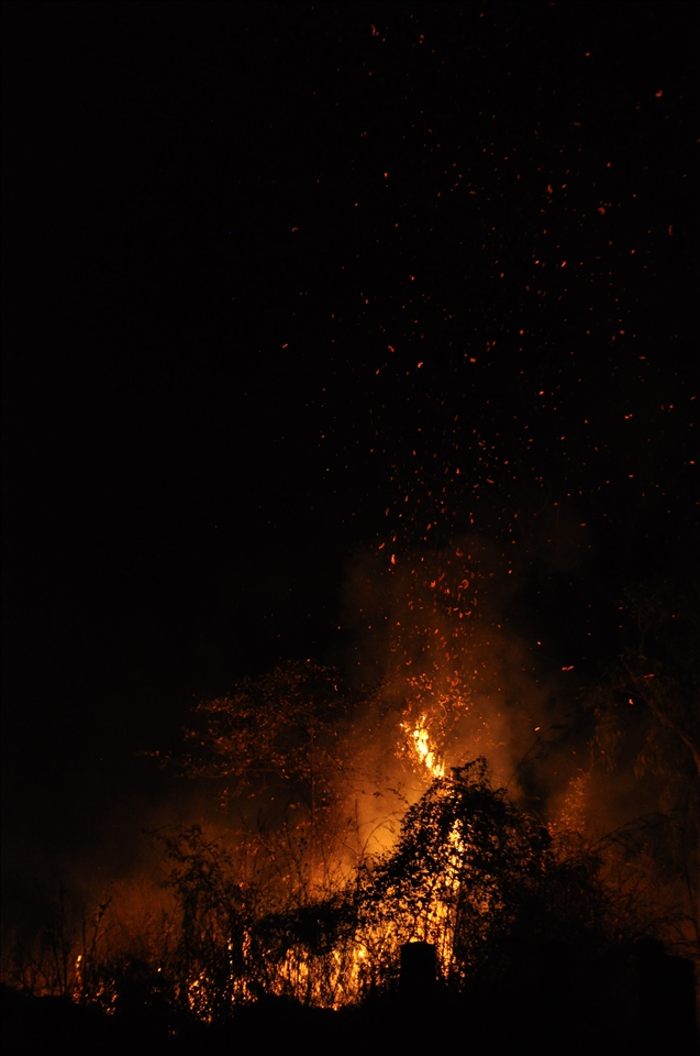 A bush is engulfed in flame and burning leaves rise into the sky. Control burns are only practiced under low wind conditions so stray sparks do not ignite unintended country or residential areas.