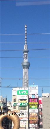 by caessar_aug, Views[431]