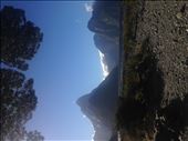 by caessar_aug, Views[100]