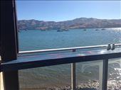 by caessar_aug, Views[184]