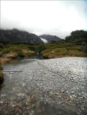 The picture was taken along the hike to Fitzroy in El Chalten.  The cloud cover hung over the mountains and glaciers, hiding the view until later in the day.   The water in the stream is clean glacier runoff and the most delicious you'll ever taste! I took this shot while filling up my bottle.: by caitlinlouise, Views[471]