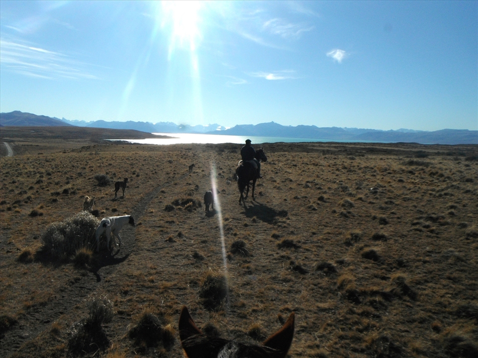 Taken from atop a horse as we rode along Lago Argentino with the Andes in the distance.  After the ride, I wasn't allowed to leave until I'd shared homemade bread and matte with the family organizing the rides