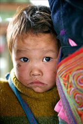 This little child afraid and yet intrigued peered out from behind his mother while I was looking at the local materials. The Sapa ladies need to keep working and often have little babies strapped to their backs. : by caitlinm, Views[513]