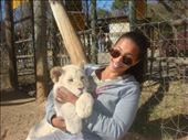Lion Park, JoBurg, South Africa: by calibasednomad, Views[198]