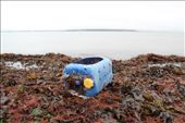 I was initially drawn to this particular object due to the vibrant colours of the waste. I thought the overcast day made this photo what it is. The idea of the overcast weather was to show that despite the vibrant colours of the litter, it was still had that 'depressing' feel to it.: by callumthomas, Views[316]