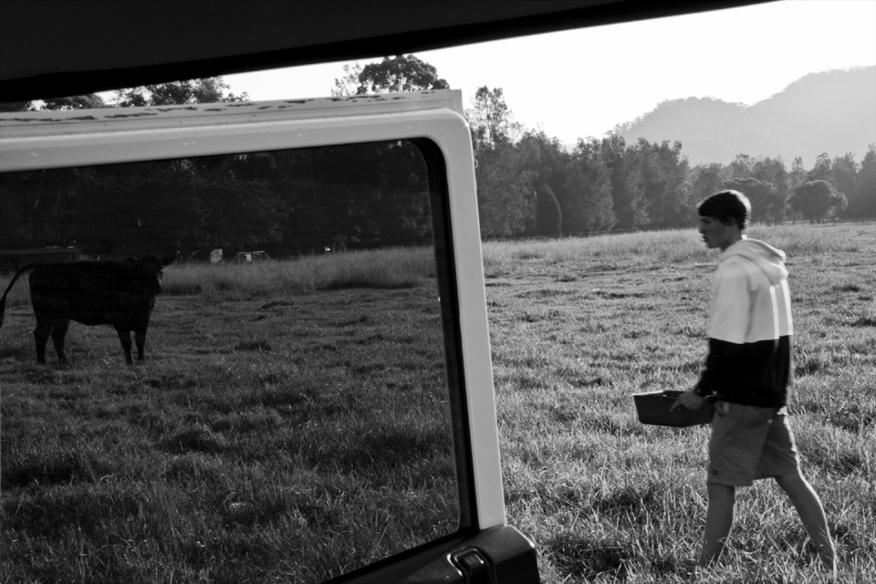 The new day begins; a typical morning struggle to feed a sick cow ensues. A ritual that involves a long and tiresome stand off in order to give a defensive cow her medication. 