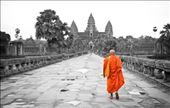 It was early in the morning after sun rise when I saw this monk walking towards the Angkor Wat. He was alone by himself, and it was a perfect moment!: by cambodia, Views[787]