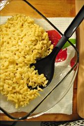 The final product. Chewy pasta dumplings with butter and cheese.: by camelliaaebischer, Views[338]