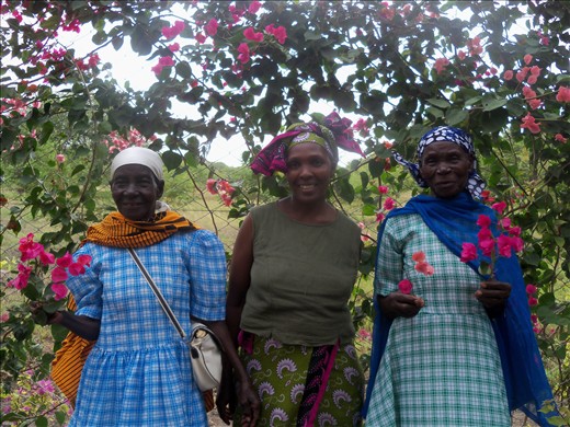 Generations. Seventh-Day Adventists dress up on their day of rest.
