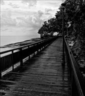 by cameronj, Views[269]