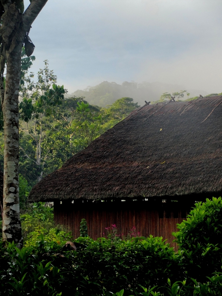 The morning in Sarayacu, and indigenous community in the Ecuadorian Jungle. 