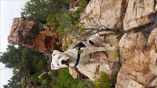 Pumba rock climbing