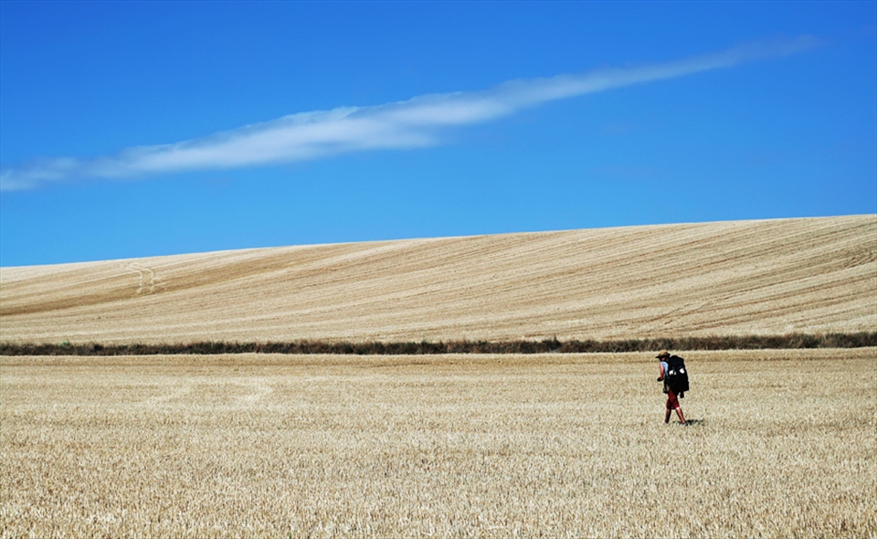 Walking through the sea of wheat fields.