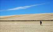 Walking through the sea of wheat fields.: by camino_de_santiago, Views[348]
