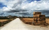 Focus on the next step filled with the story of previous.: by camino_de_santiago, Views[239]