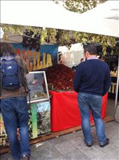 A crazy big pile of sundried toms: by candice, Views[331]