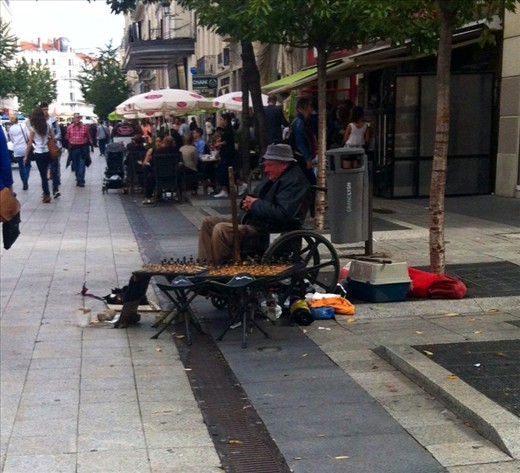 My little chess hustler and co.