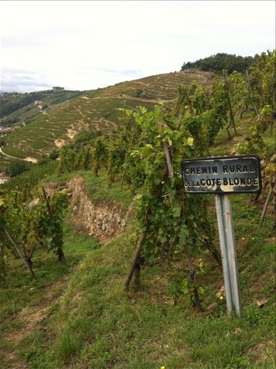 The Syrah from the 'blonde' part of Cote Rote, there's also a 'brune' (brown) to do with soil colour. 