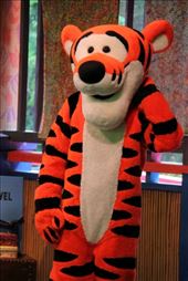 by canonfootprints, Views[133]