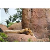 by canonfootprints, Views[143]