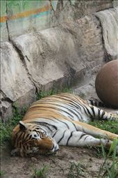 by canonfootprints, Views[162]