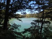 by capecodkiwi, Views[183]