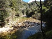 by capecodkiwi, Views[217]