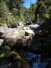 by capecodkiwi, Views[188]