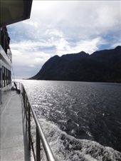 by capecodkiwi, Views[317]