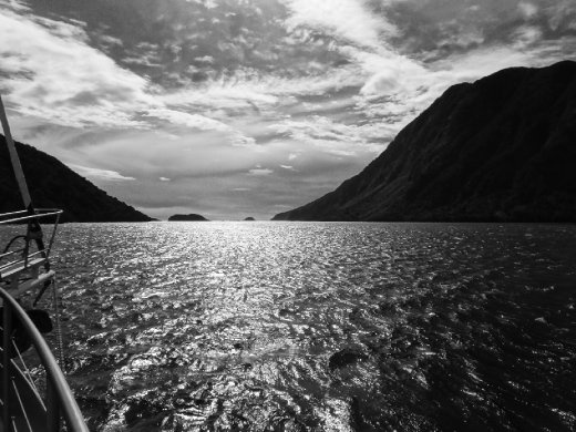 where the sound meets the Tasman Sea